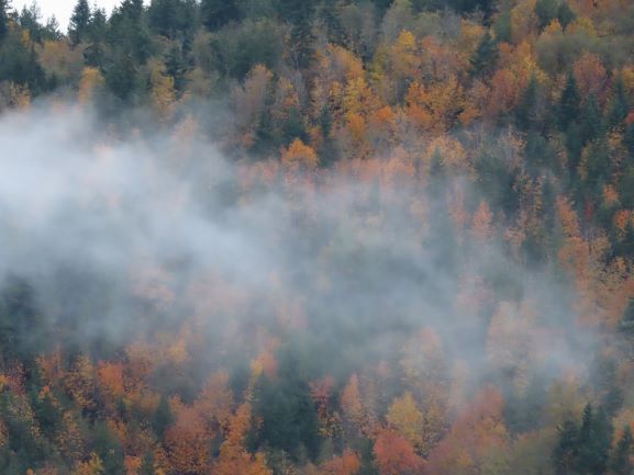 Fall in the Olympic Mountains