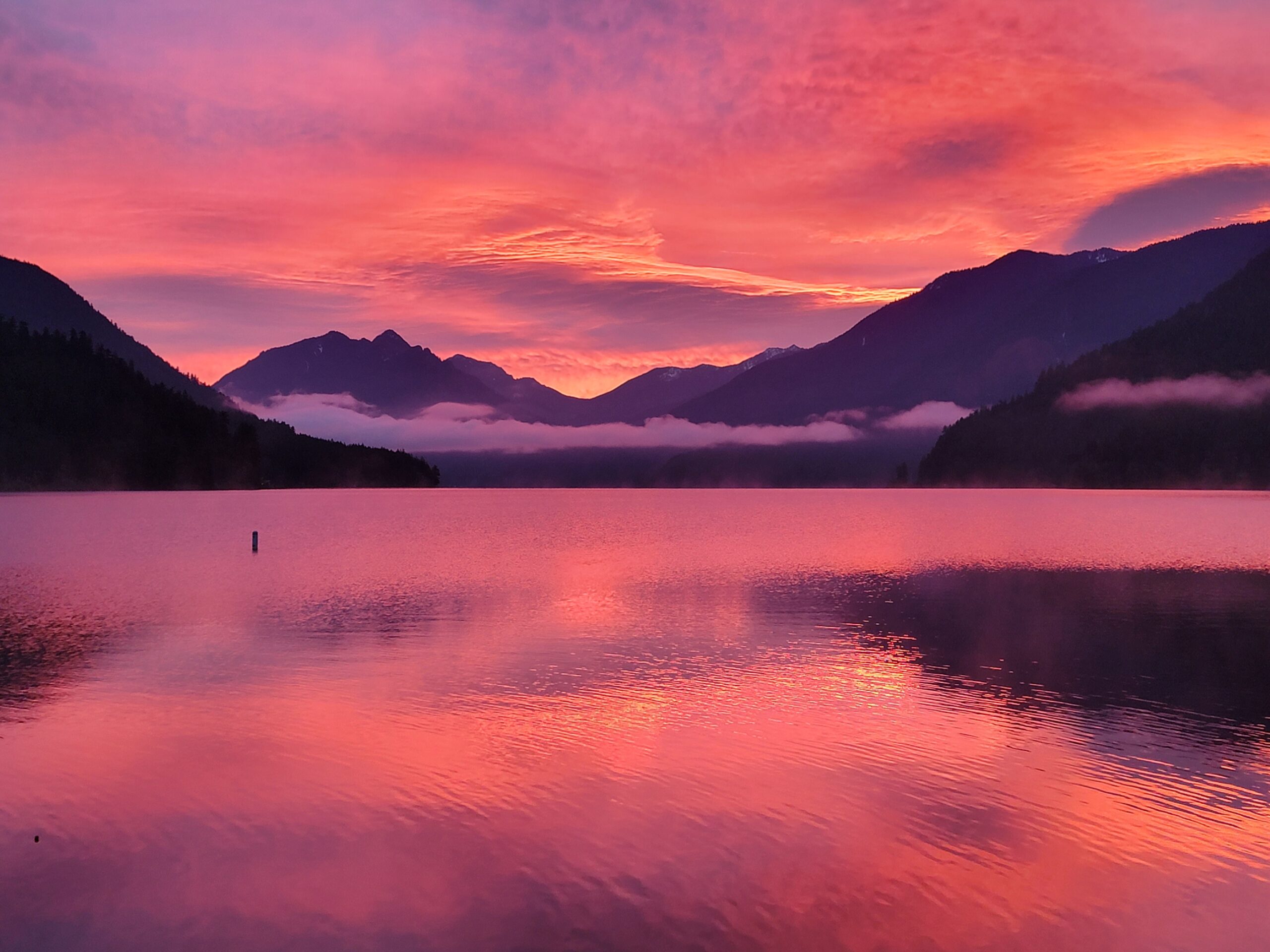 Lake Crescent, from Fairholm, pink sunrise reflecting pink on lake, Olympic National Park, in Clallam County Washington